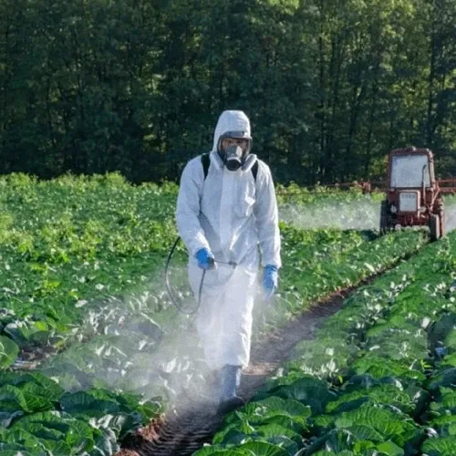 Profissional em nr 31 - segurança e saúde no trabalho no meio rural no dia a dia do ofício — segurança e saúde no trabalho rural (NR 31)